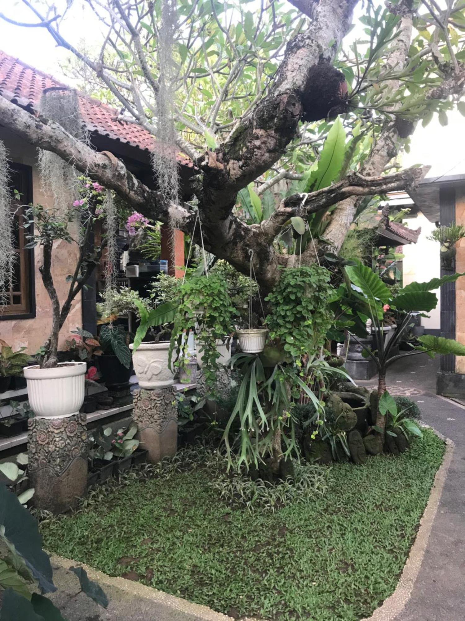 Gus Arditya Homestay Ubud Exteriör bild