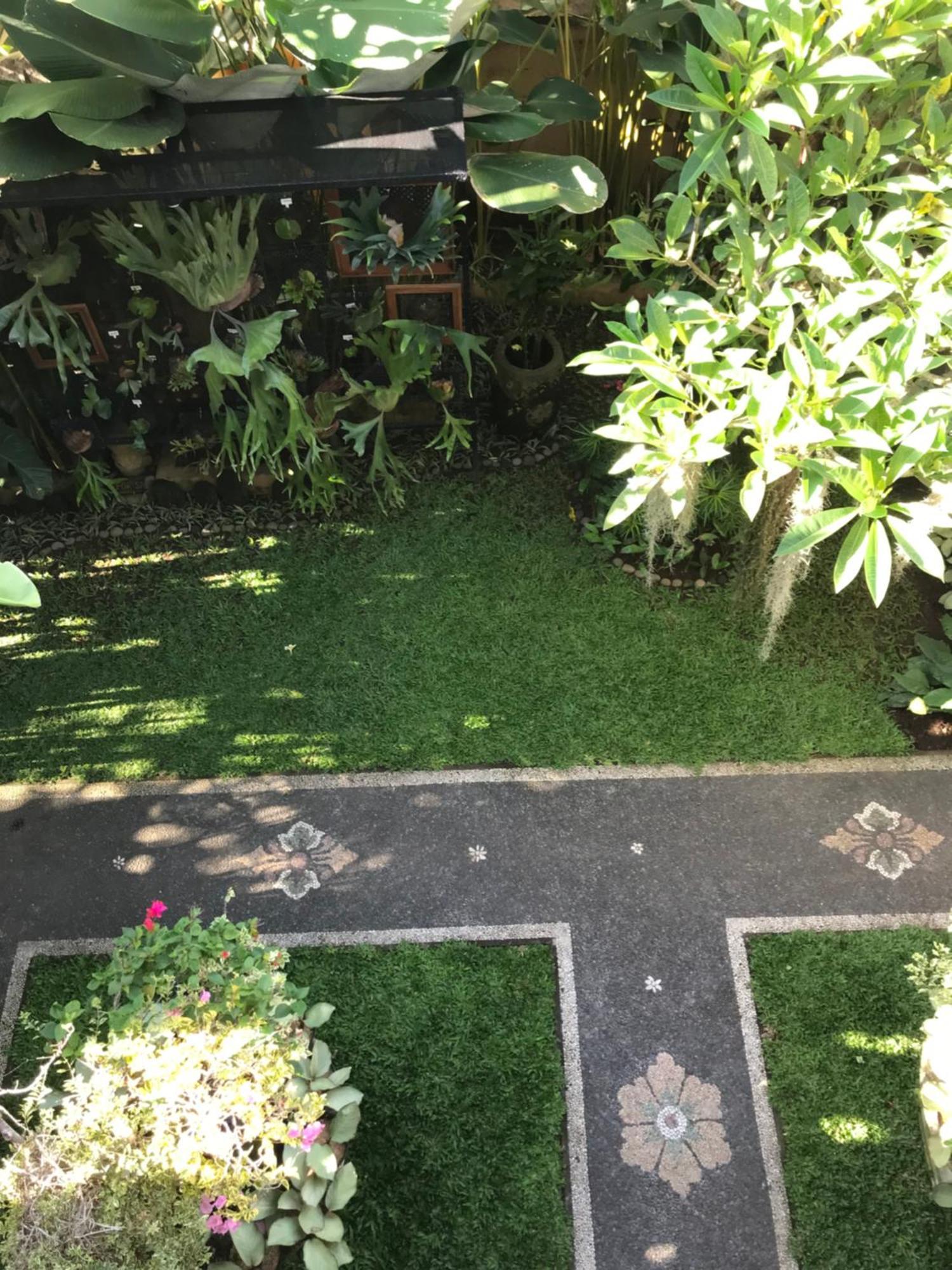 Gus Arditya Homestay Ubud Exteriör bild