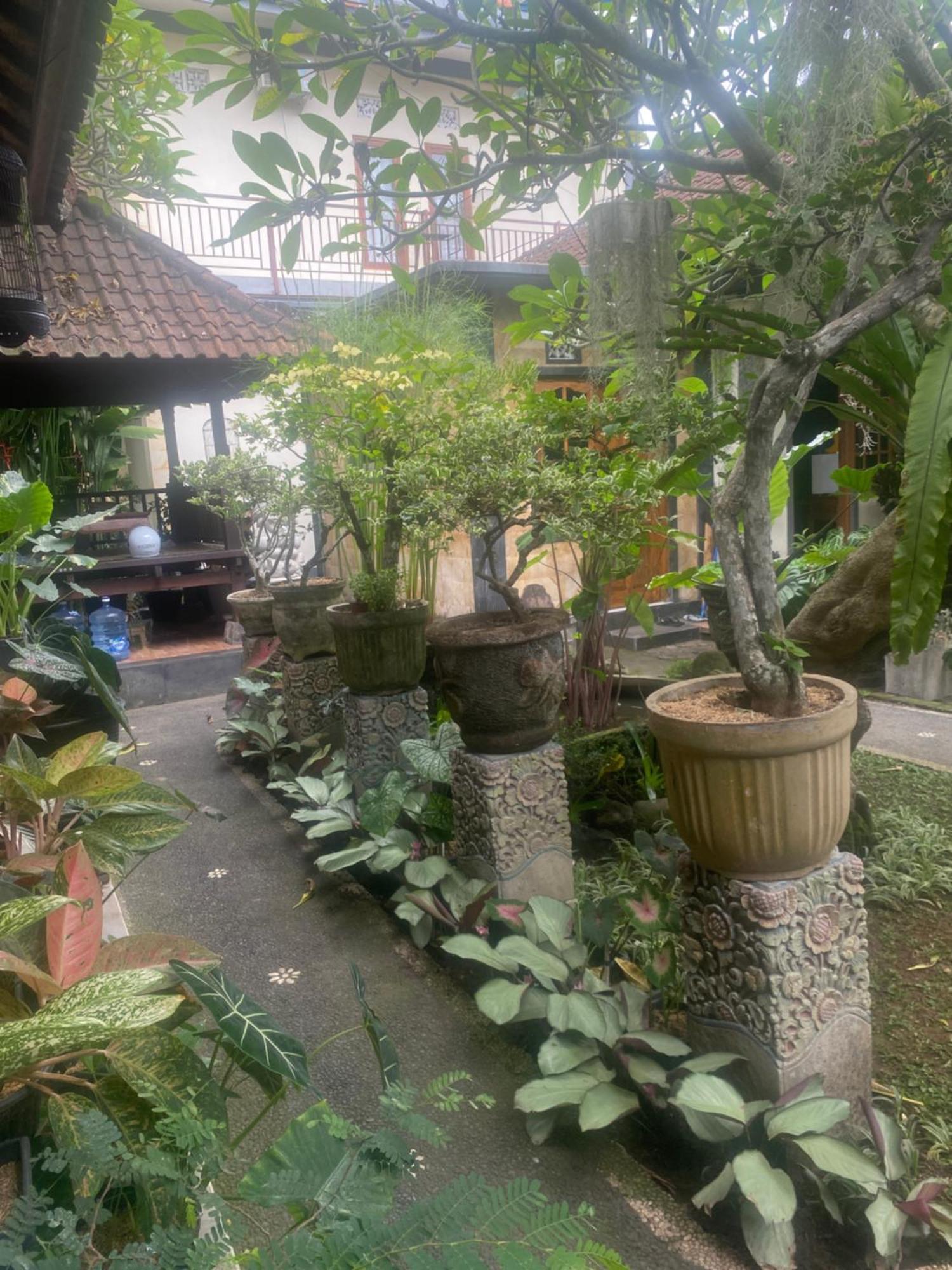 Gus Arditya Homestay Ubud Exteriör bild