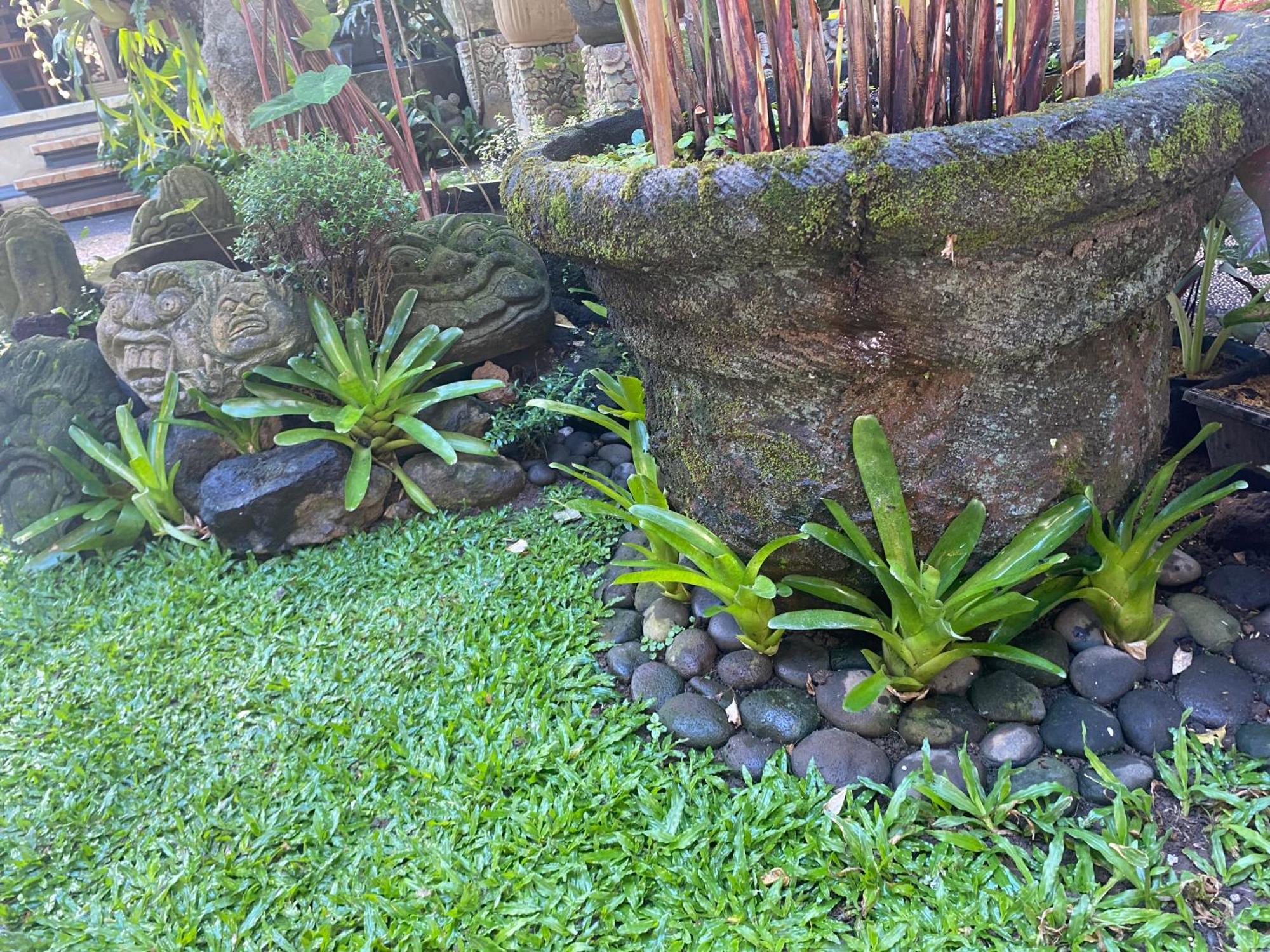Gus Arditya Homestay Ubud Exteriör bild
