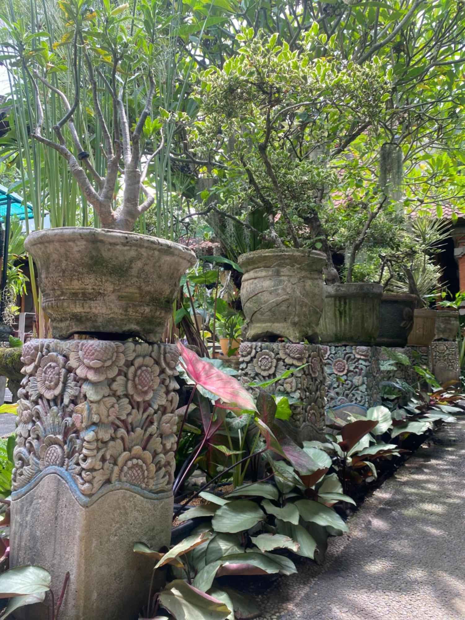 Gus Arditya Homestay Ubud Exteriör bild