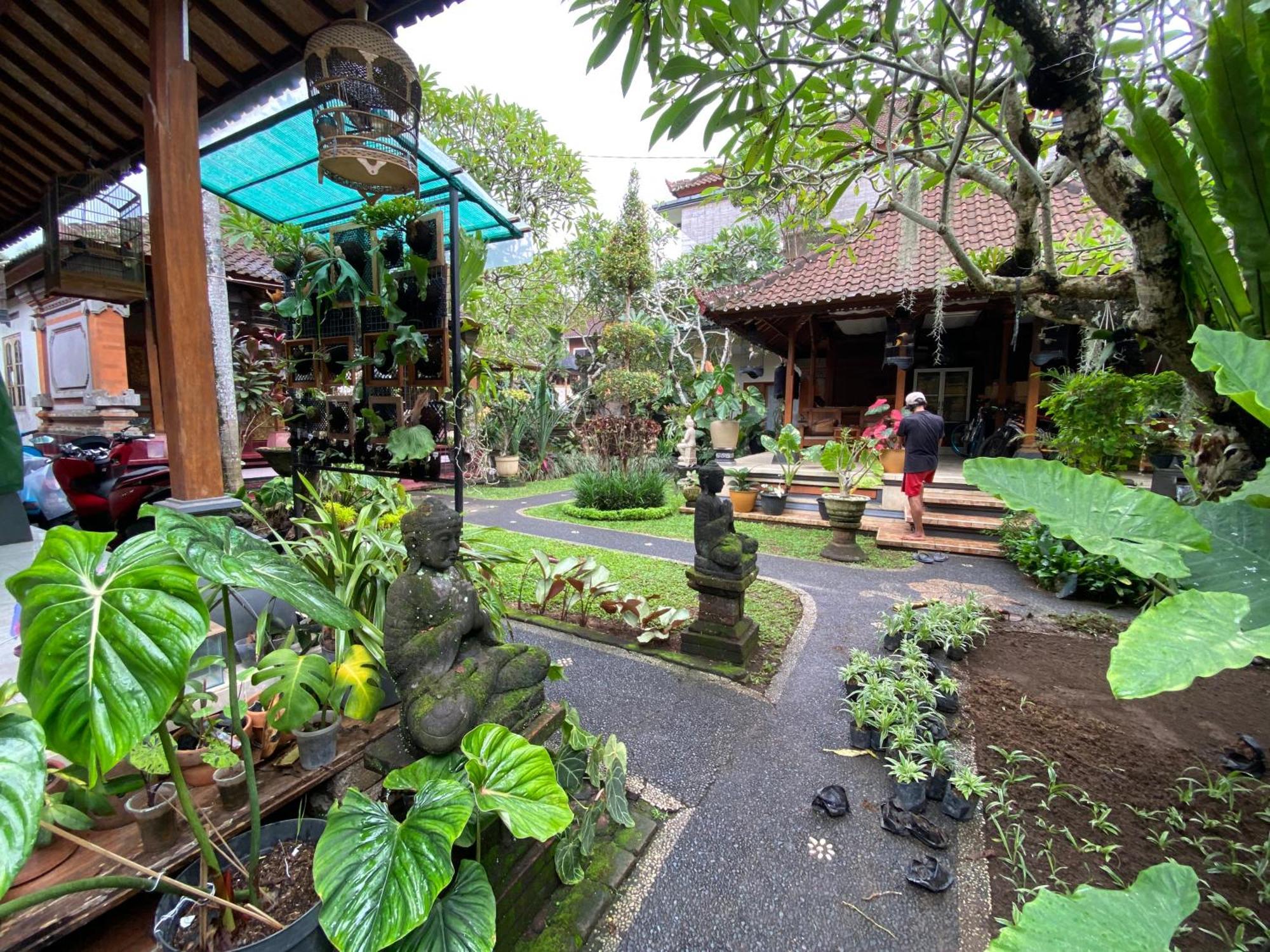 Gus Arditya Homestay Ubud Exteriör bild
