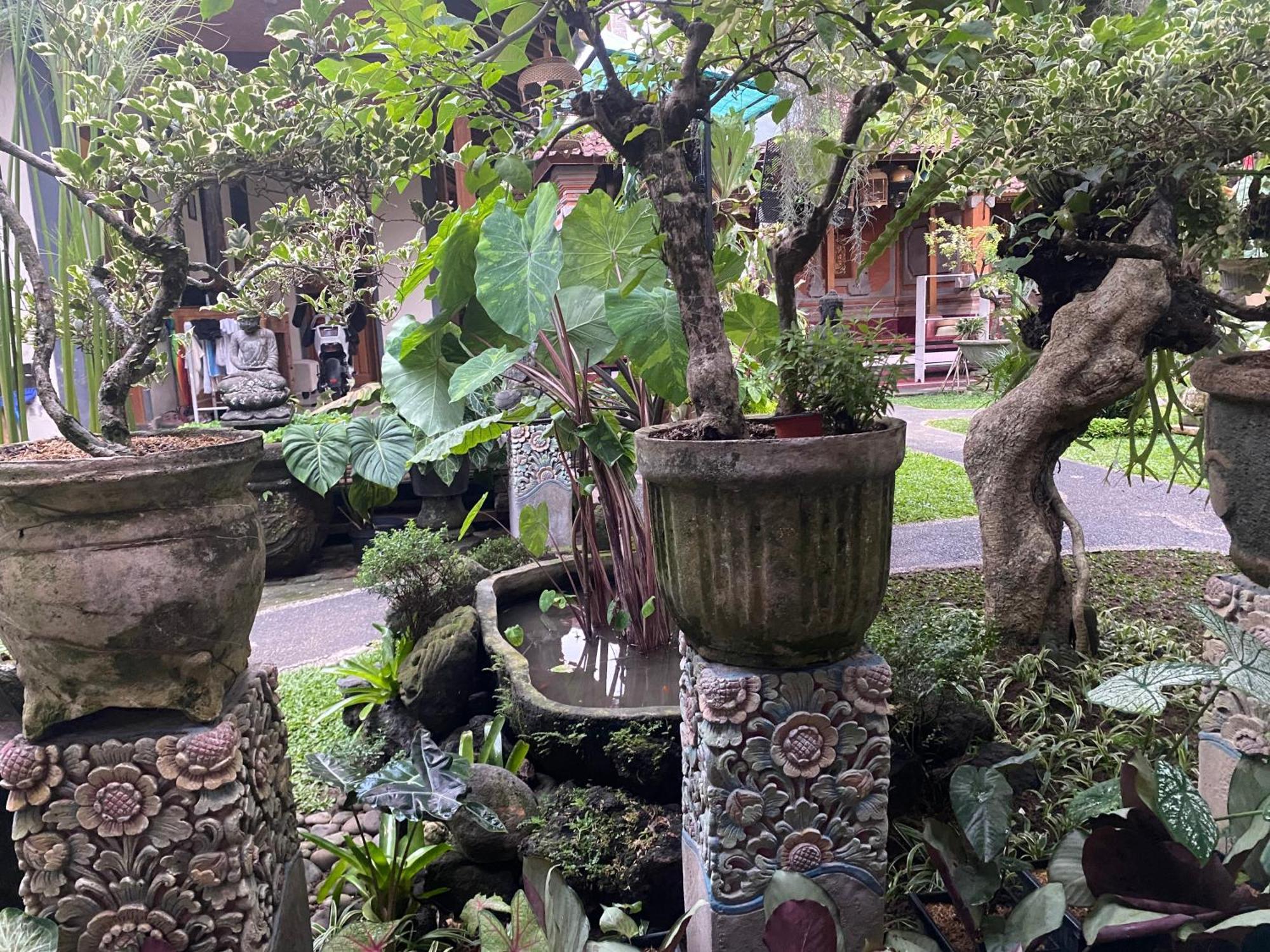 Gus Arditya Homestay Ubud Exteriör bild