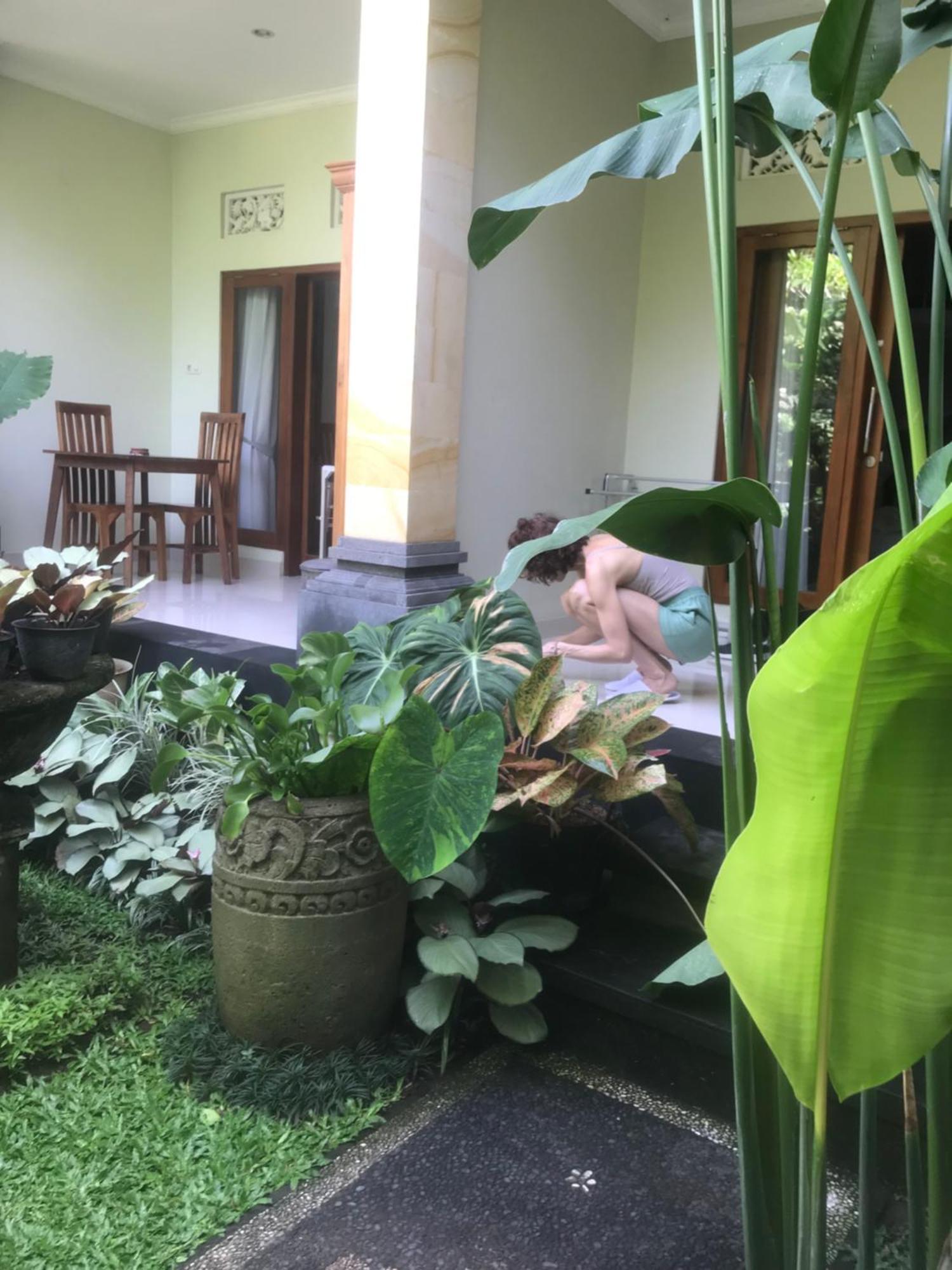 Gus Arditya Homestay Ubud Exteriör bild